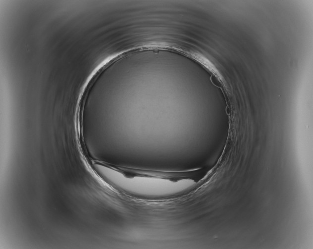 X0000086731084200704271626