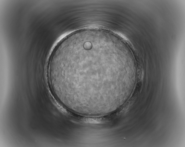 X0000086731086200704271626