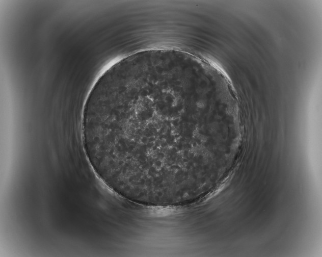 X0000086731087200704271626