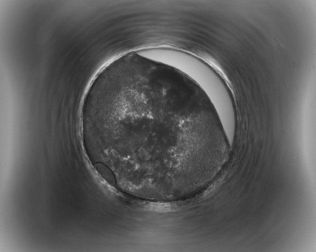 X0000086731088200704271626