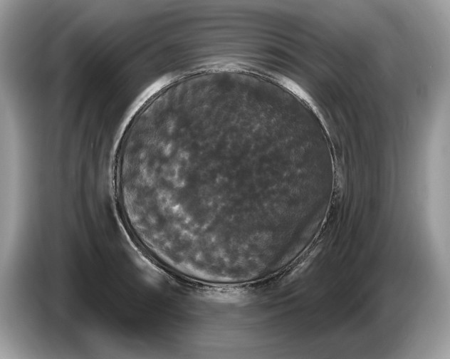 X0000086731090200704271626