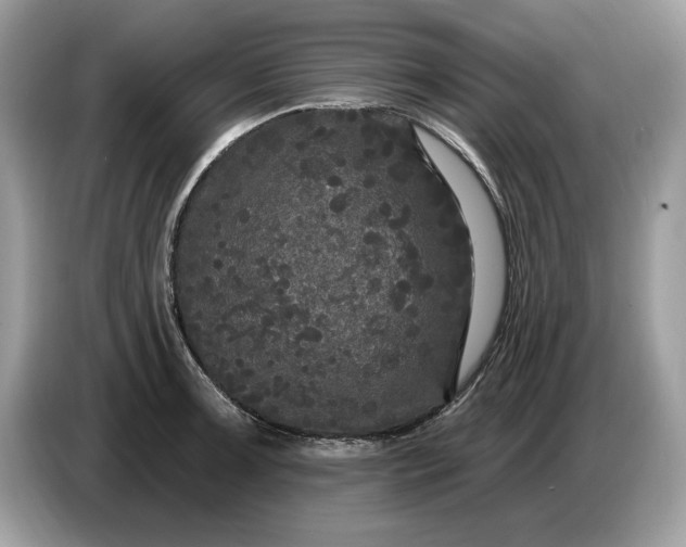 X0000086731091200704271626