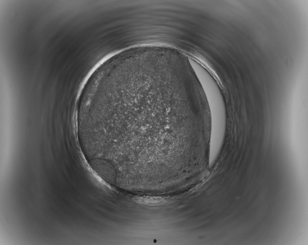 X0000086731092200704271626