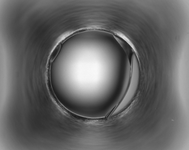 X0000086731093200704271625