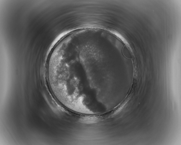 X0000086731094200704271625