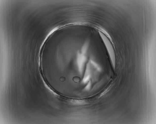 X0000086731095200704271625