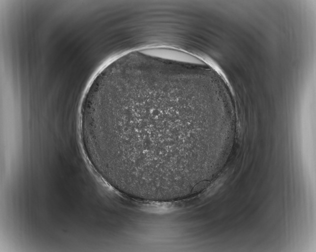 X0000086731096200704271625