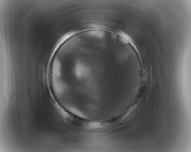 X0000086731098200704271625