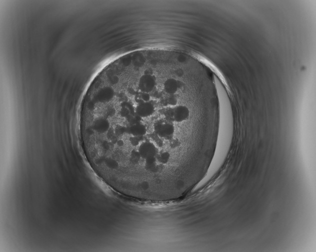 X0000086731099200704271625