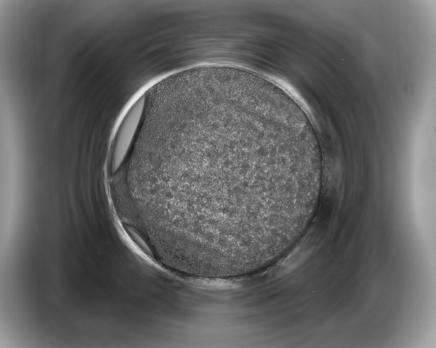 X0000086731100200704271625