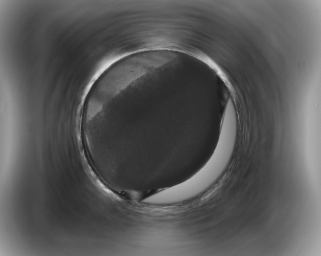 X0000086731102200704271625