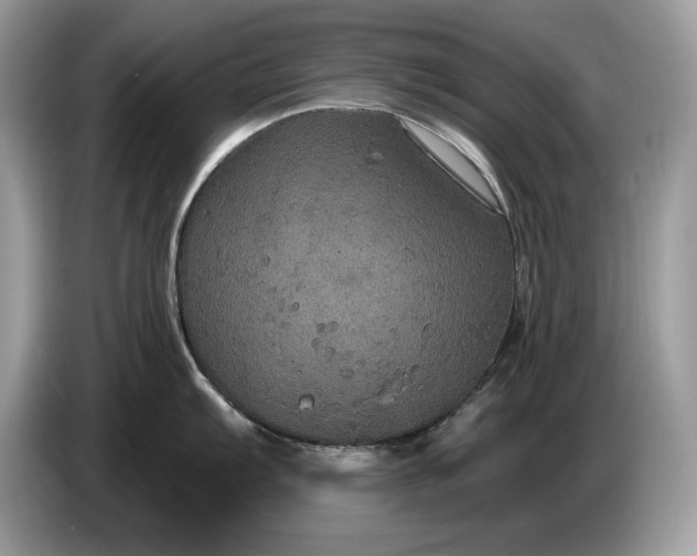 X0000086731103200704271625