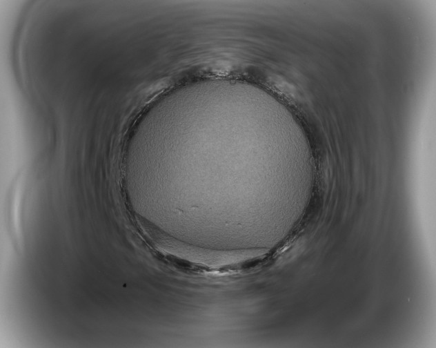 X0000086731105200704271625