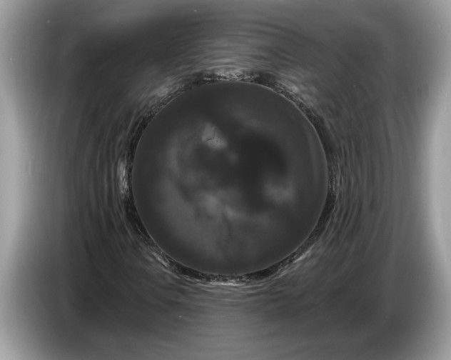 X0000086731106200704271625