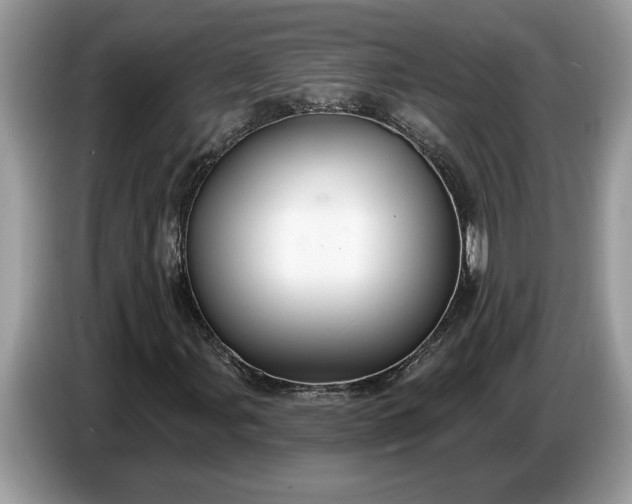 X0000086731107200704271625