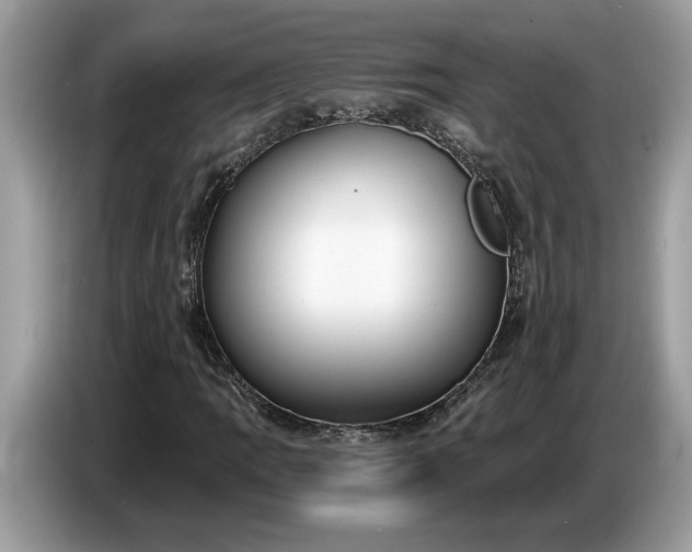 X0000086731109200704271625