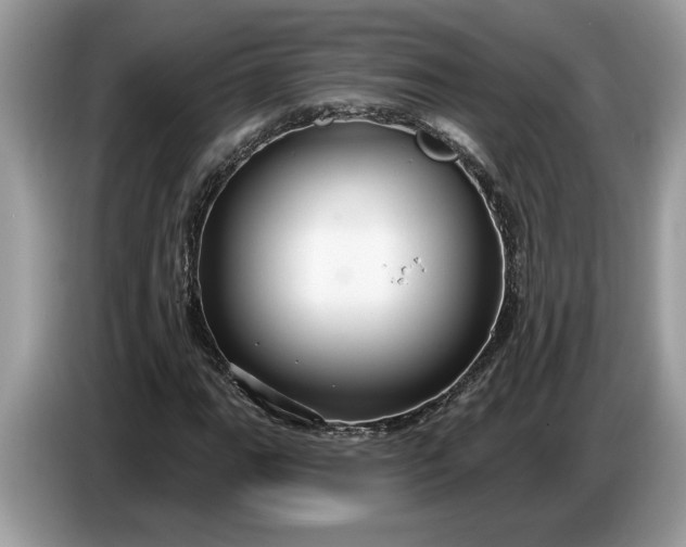 X0000086731111200704271625