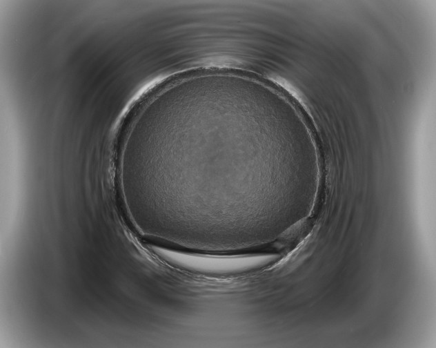 X0000086731115200704271625