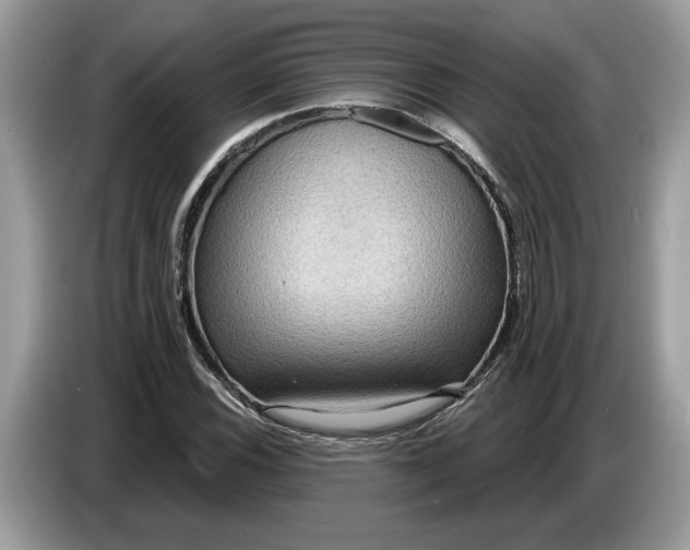 X0000086731116200704271625