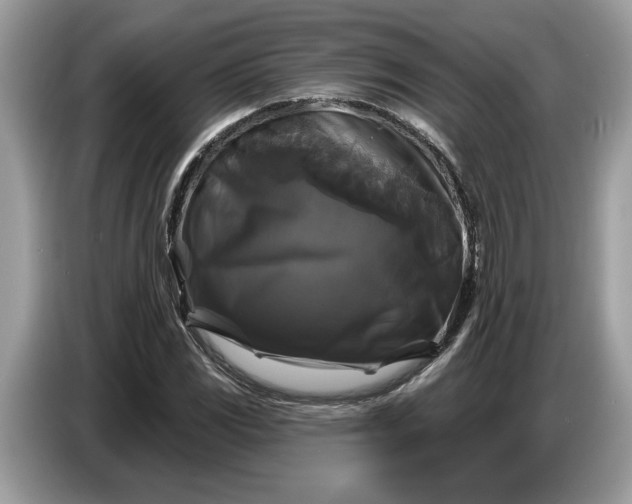 X0000086731117200704271625