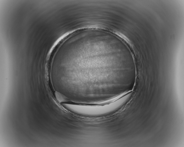 X0000086731120200704271625