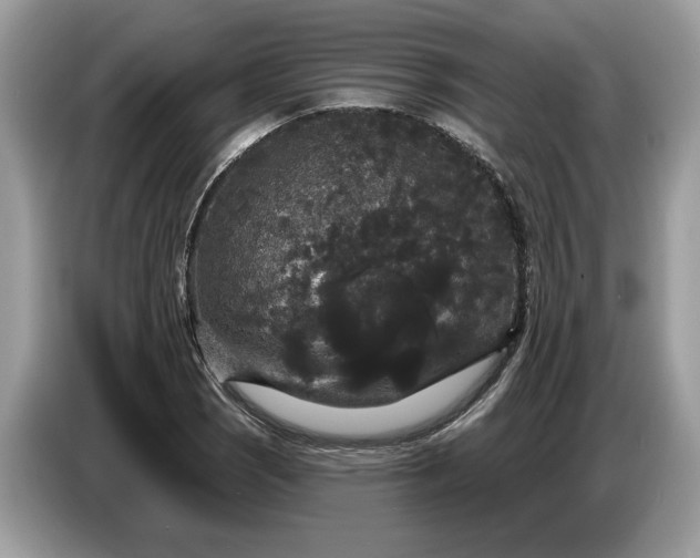 X0000086731121200704271625