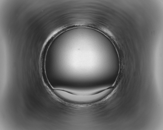 X0000086731122200704271625