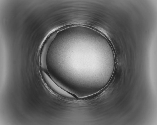 X0000086731123200704271625