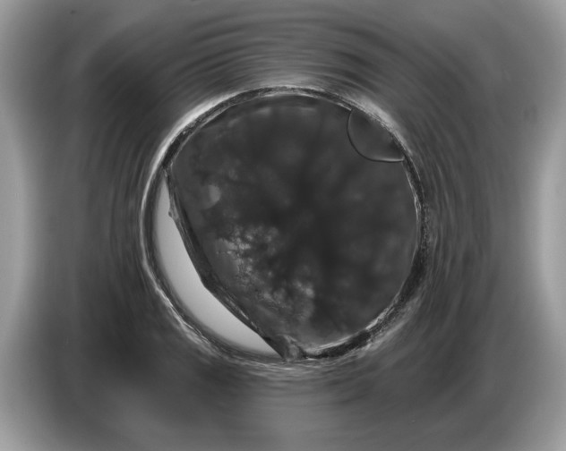 X0000086731125200704271625