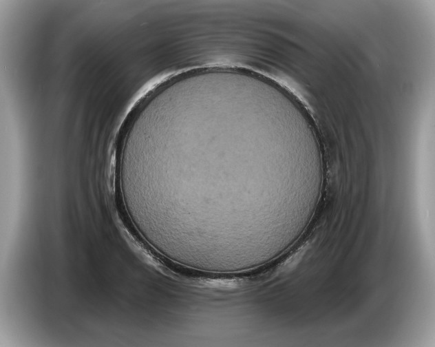 X0000086731126200704271625