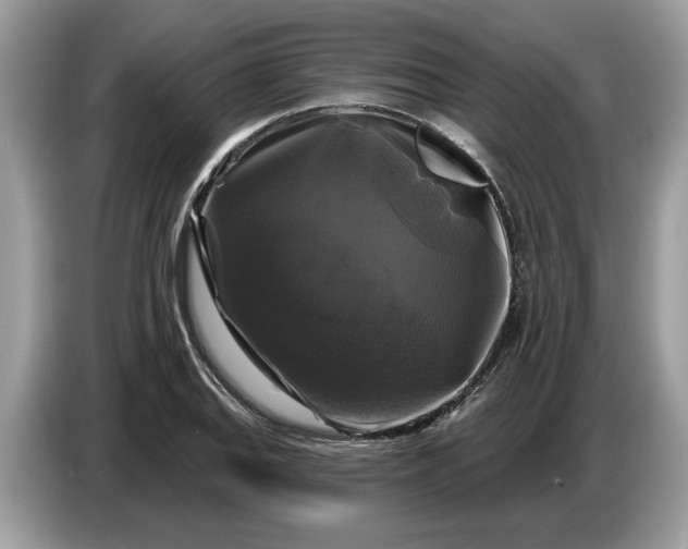 X0000086731127200704271625