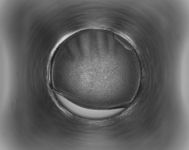 X0000086731128200704271625