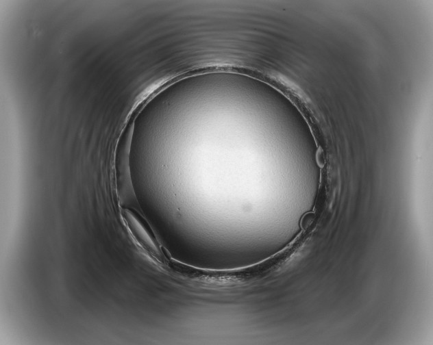 X0000086731129200704271625