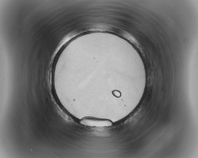 X0000086731130200704271625