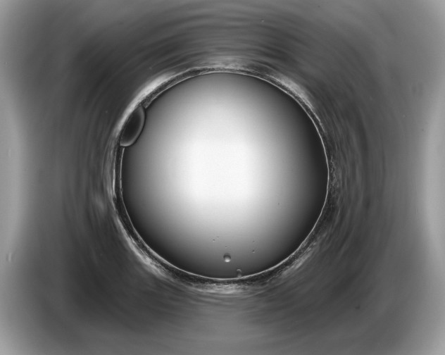 X0000086731131200704271625