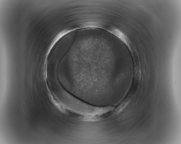 X0000086731132200704271625