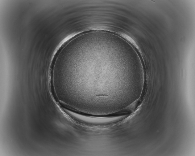 X0000086731133200704271625