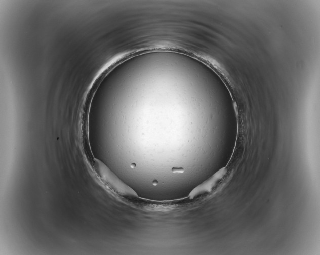 X0000086731134200704271625