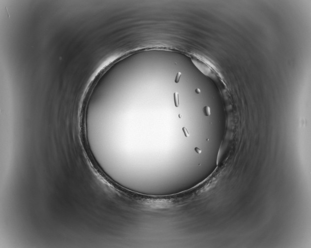 X0000086731135200704271625