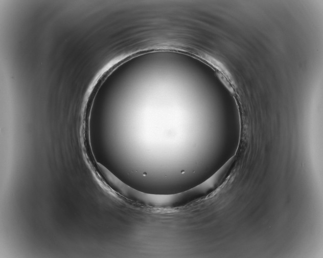 X0000086731136200704271625