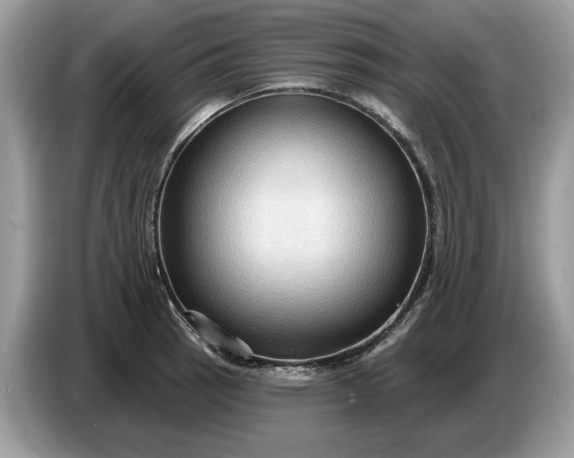 X0000086731137200704271625