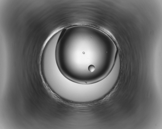 X0000086731138200704271625