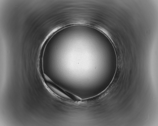 X0000086731139200704271625