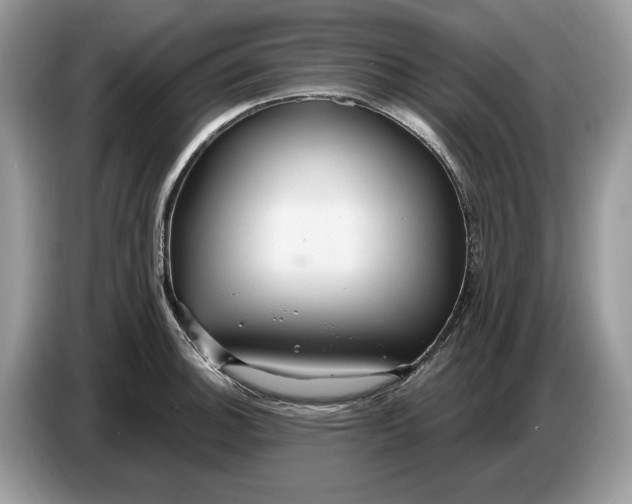 X0000086731140200704271625