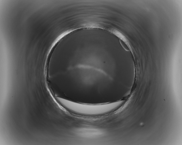 X0000086731141200704271625