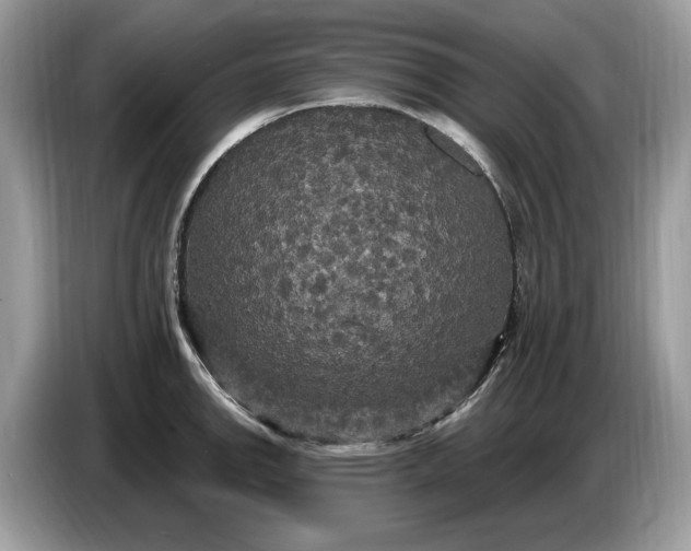 X0000086731142200704271625