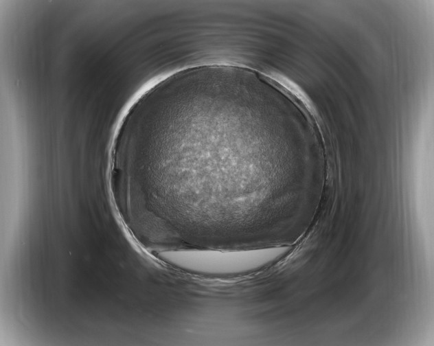 X0000086731144200704271625