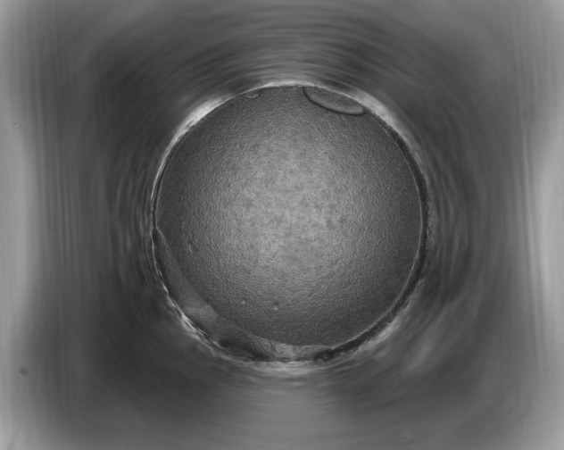 X0000086731145200704271625