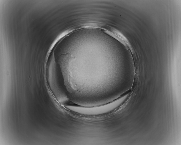 X0000086731146200704271625