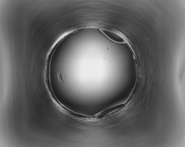 X0000086731147200704271625